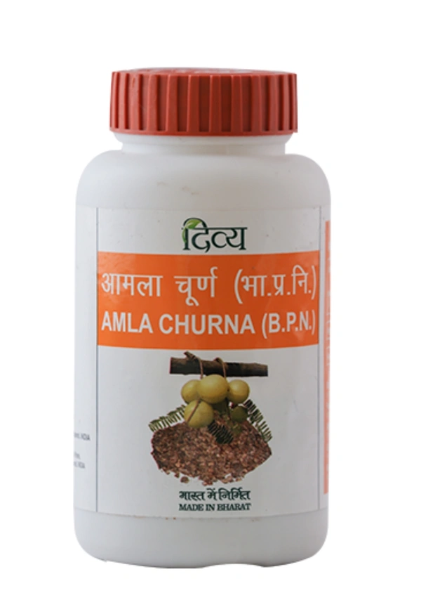 Patanjali Amla Churna  - 100GM