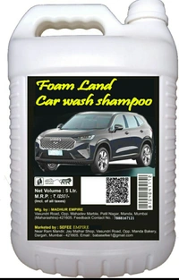 Sefee  car wash shampoo extra sin fom - 3/6(16, Golden Tainoi