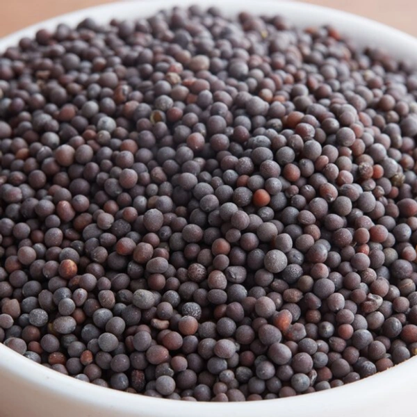 Healthy Homes Mustard Seed - 100 GMS