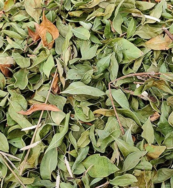 Healthy Homes Dry Henna Mehendi Leaves / Maruthani Ilai - 50 GMS