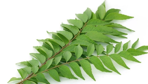 Healthy Homes Dry Curry Leaves / Karuveppillai Dried Leave - 50 GMS