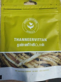 Healthy Homes Thaneer Vittan Kilangu / Shatavari - 50 GMS