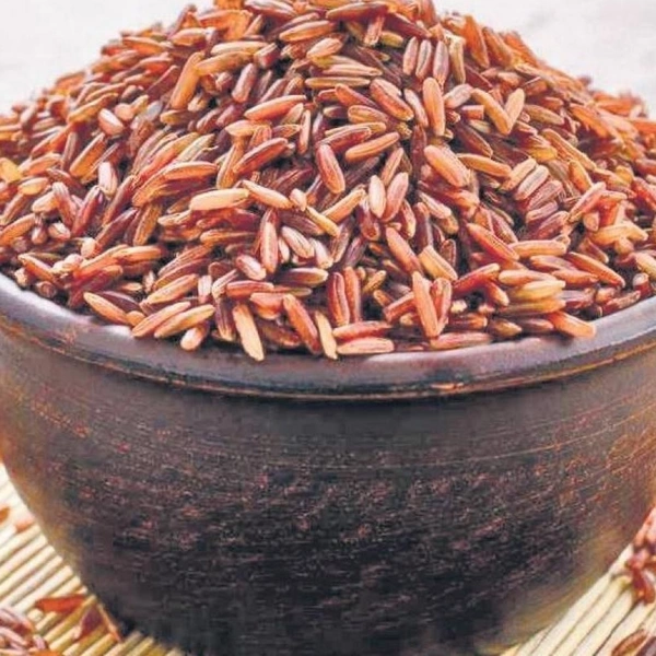 Kattuyanam Rice