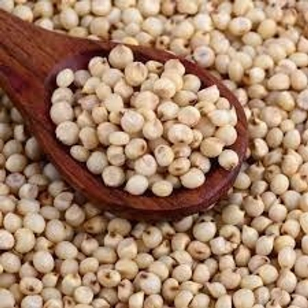 Sorghum