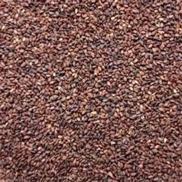 Till Raw Seeds Black  - 100Gms