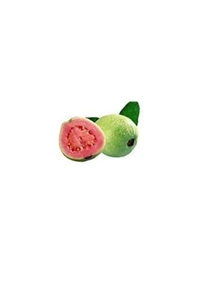 Thai Pink Pyara Fruit Plant থাই ভ্যারাইটিস পিং পিয়ারা