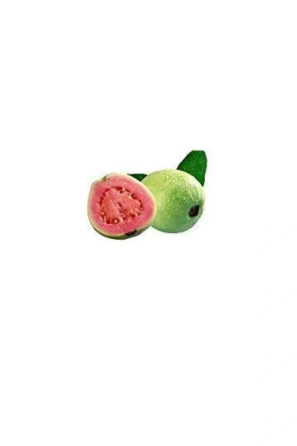 Thai Pink Pyara Fruit Plant থাই ভ্যারাইটিস পিং পিয়ারা