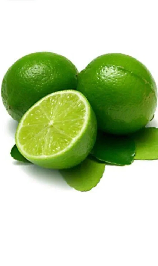 Kolkata Pati Lemon Fruit Plant কলকাতা পাতি লেবুর চারা