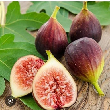 Missouri Dumur Fruit Plant