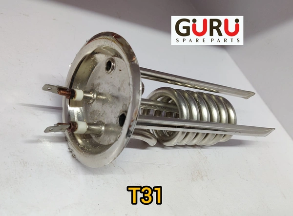 T31