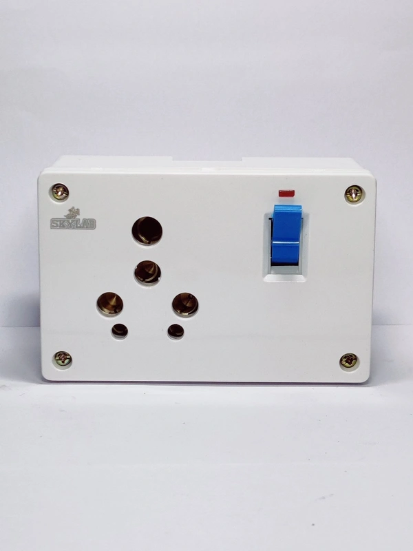 25A MCB S.S WITH BOX