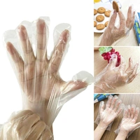 0670 PLASTIC TRANSPARENT DISPOSABLE CLEAR GLOVES (WHITE) (100PC)