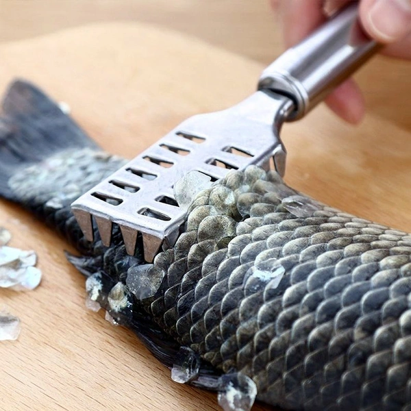 2194 FISH SCALE REMOVER SCRAPER STAINLESS STEEL