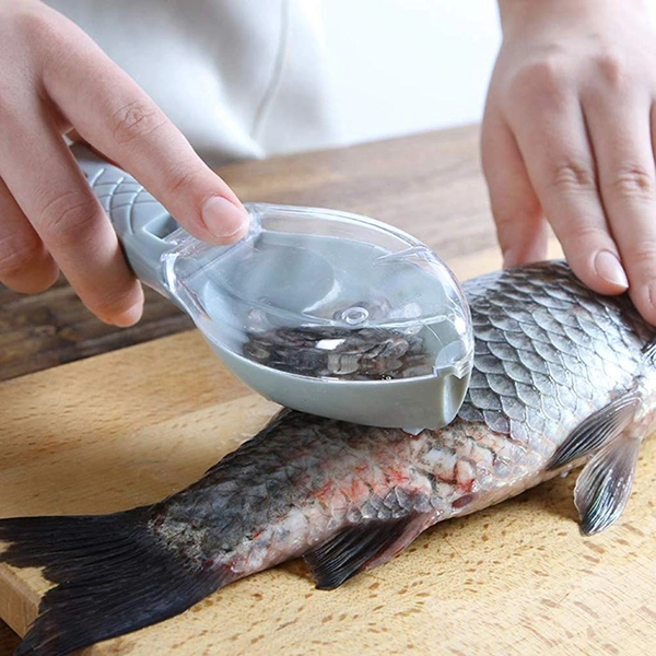2195 FISH SCALE SCRAPER With Box