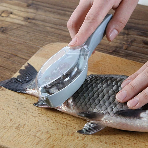 2195 FISH SCALE SCRAPER With Box