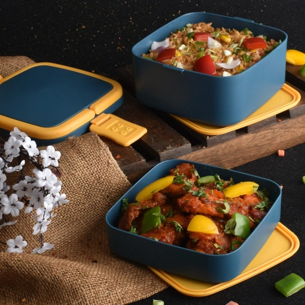 2838A DOUBLE-LAYER PORTABLE LUNCH BOX