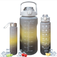 3 PCS SET Motivational  Bottle