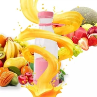 5334A PORTABLE JUICER FOR SMOOTHIE & JUICE 380 ML