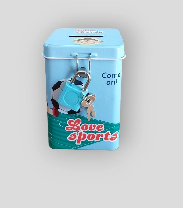Money Box  S- 213-02