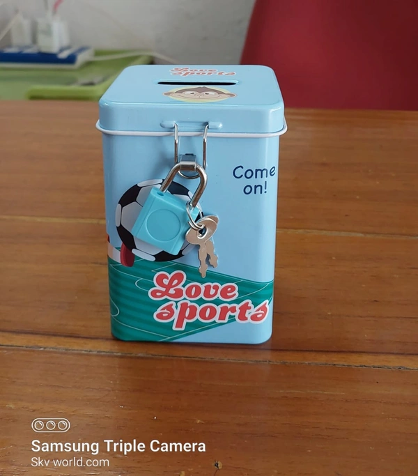 Money Box  S- 213-02