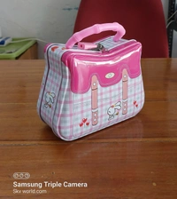 Money Box S-113