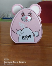 Money Box S-237