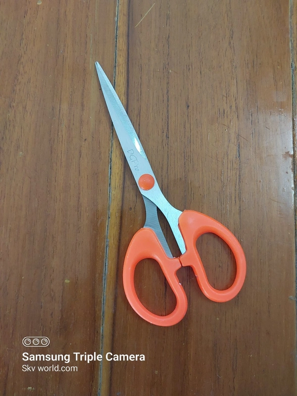 Stainless Steel Scissors