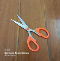 Stainless Steel Scissors