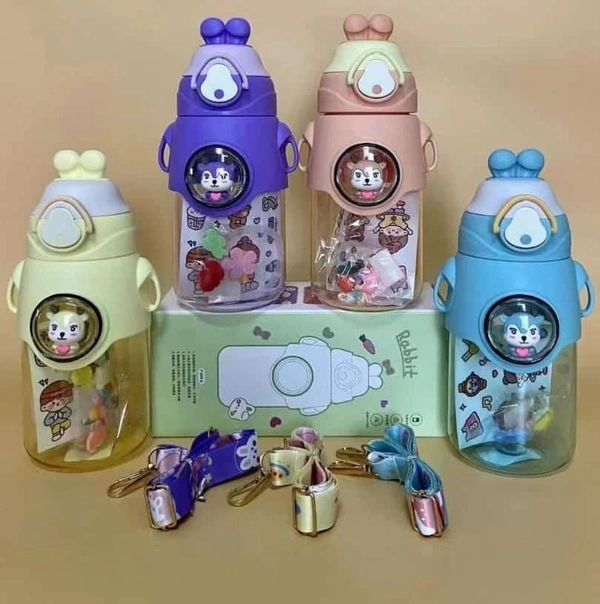 SY66 Fancy Water Bottle (750 Ml)