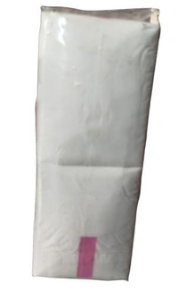 Sister Secure Ultra Thin Anion Chip Sanitary Napkins 60 Pads Combo  - White, Regular