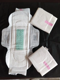 Sister Secure Ultra Thin Anion Chip Sanitary Napkins 60 Pads Combo  - White, Regular