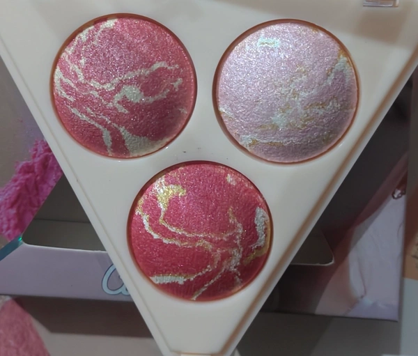FT FACE TECH BLUSHER POWDER