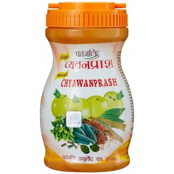 Patanjali Special Chyawanprash *500g