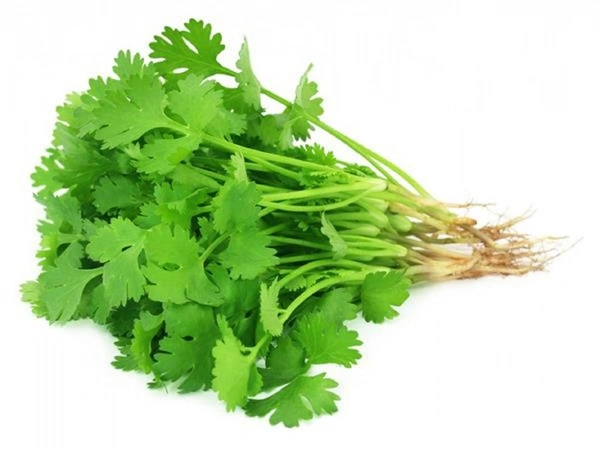 coriander leaves 70g (Dhaniya) धनिया पत्ती 