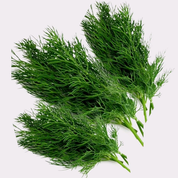 Suva Bhaji Dill Leaves (Sushma) 1bunch