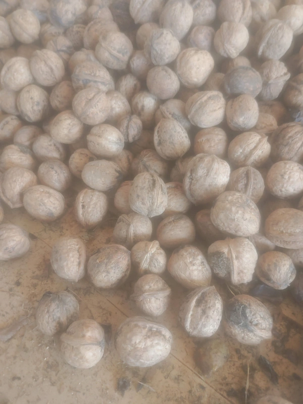 Kashmiri Walnuts