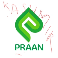 Kashmiri Shopping Product - Logo