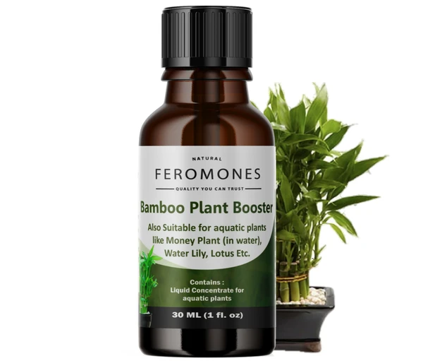 Feromones Lucky Bamboo Plant Fertilizer - Liquid Fertilizer for Aquatic Plants in Home Garden - 30 ML