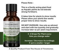 Feromones Lucky Bamboo Plant Fertilizer - Liquid Fertilizer for Aquatic Plants in Home Garden - 30 ML