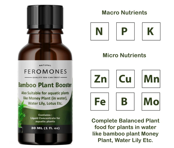 Feromones Lucky Bamboo Plant Fertilizer - Liquid Fertilizer for Aquatic Plants in Home Garden - 2 bottles of 30 ml Each