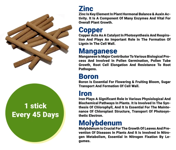 Feromones Micro Nutrient Fertilizer Sticks for Plants - Easy Micronutrient Fertilizer for Plants in Home Garden - 100 sticks
