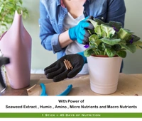 Feromones FEROMONES Fertilizer Sticks for Plants - 100 Stick Fertilizer for Plants - All Purpose Plant Fertilizer Sticks for Pot Plants Visit the FEROMONES Store - 40 Stick