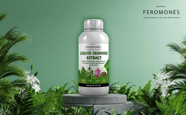 Feromones Pure Seaweed Extract - Organic and Water Soluble - for All Indoor and Outdoor Plants - for Home Gardening Fertilizer, Manure