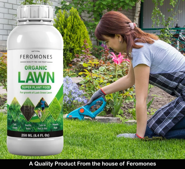 Feromones Organic Lawn Growth Super Plant Food Potting Mixture, - 250 ML