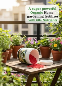 Feromones Dragon Bloom Home Gardening Fertilizer granules - For Mess free home Gardening - 750 Gram
