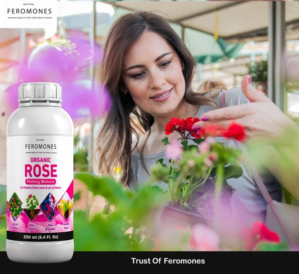 Feromones Organic Rose Super Plant Food - For Rose Plants Growth and Flowering Fertilizer, Potting Mixture - 250 ML