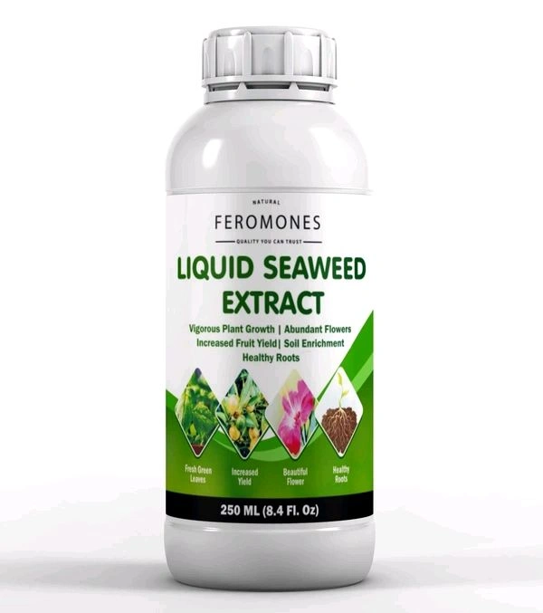 Seaweed Extract 500 ML
