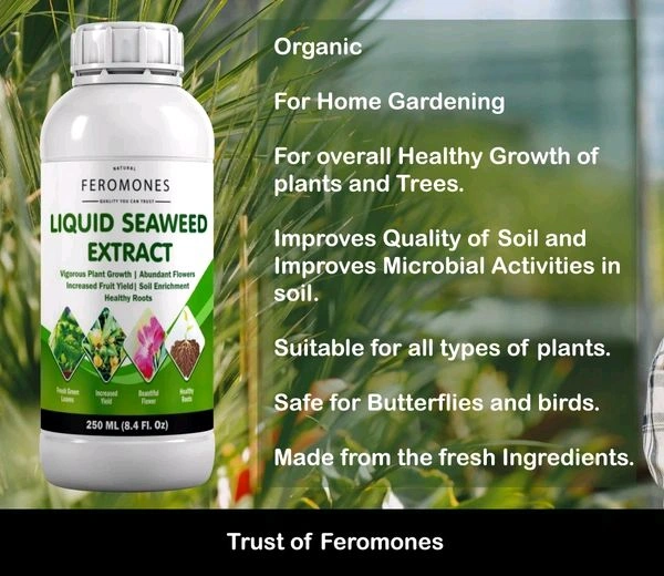Seaweed Extract 500 ML