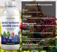 Feromones Micronutrient Fertilizer For Plants - For Healthy Plant Growth and Flowering Fertilizer - 250 Ml