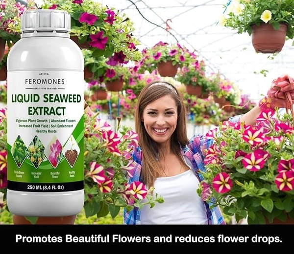 FEROMONES Combo Of Pure Seaweed Extract And Micro Nutrient Booster Liquid - Fertilizer For Home Gardening - 250 ml + 250 ml